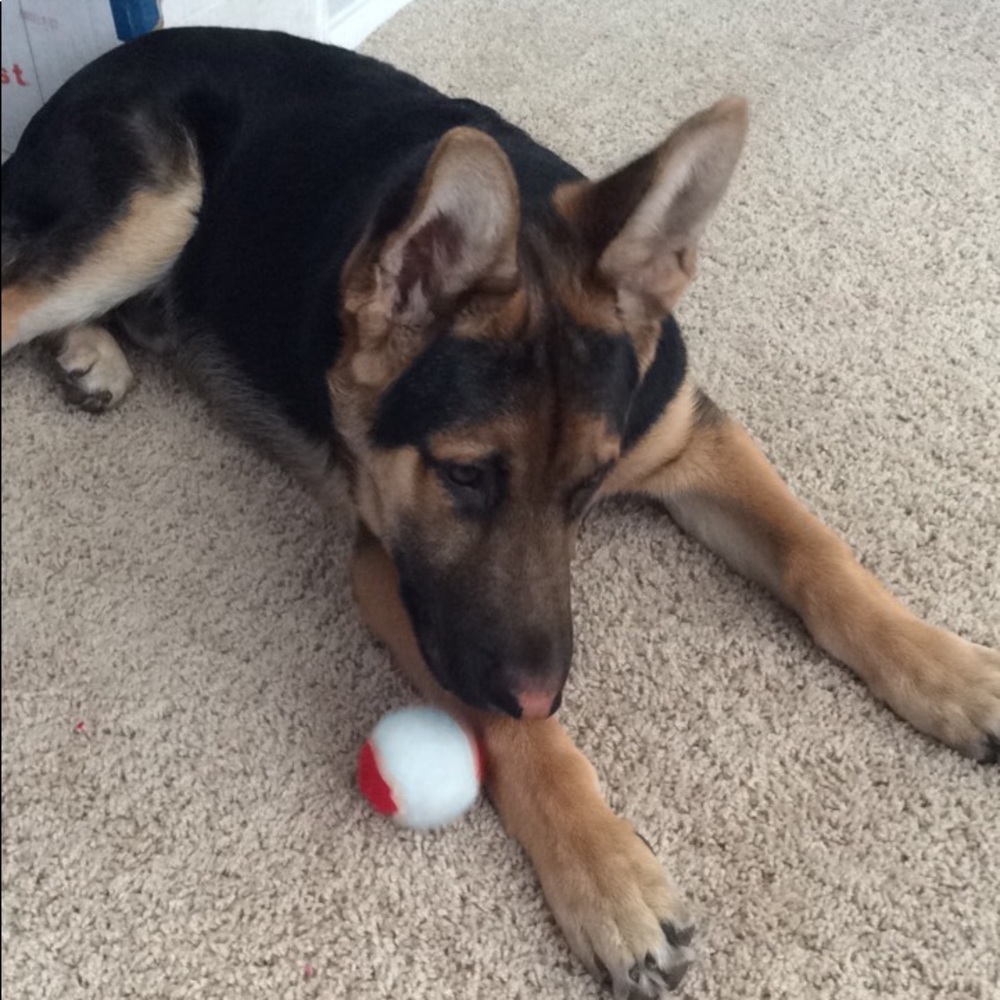 Meet your Posher, Ernestina